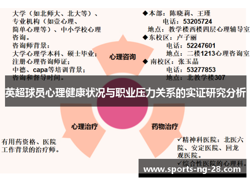 英超球员心理健康状况与职业压力关系的实证研究分析