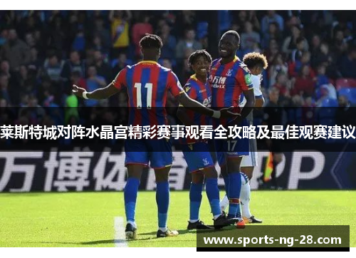 莱斯特城对阵水晶宫精彩赛事观看全攻略及最佳观赛建议