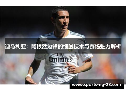 迪马利亚：阿根廷边锋的细腻技术与赛场魅力解析