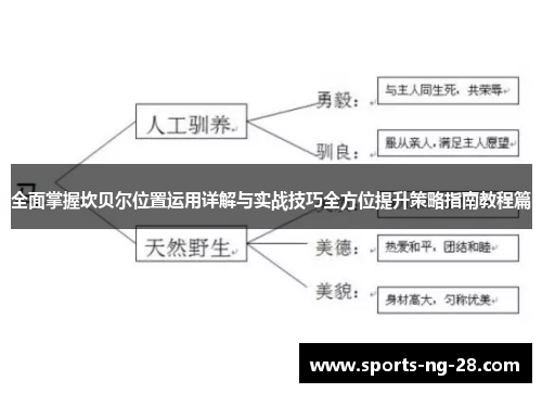全面掌握坎贝尔位置运用详解与实战技巧全方位提升策略指南教程篇 全面掌握坎贝尔位置运用详解与实战技巧全方位提升策略指南教程篇