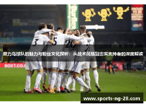 魔力鸟球队的魅力与粉丝文化探析：从战术风格到忠实支持者的深度解读