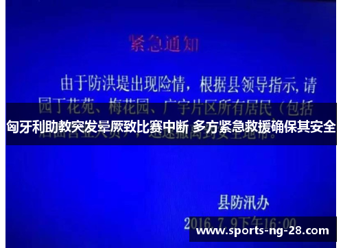 匈牙利助教突发晕厥致比赛中断 多方紧急救援确保其安全 匈牙利助教突发晕厥致比赛中断 多方紧急救援确保其安全